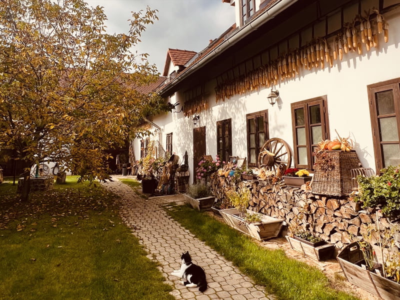 Folklórní restaurace Starý Vrch