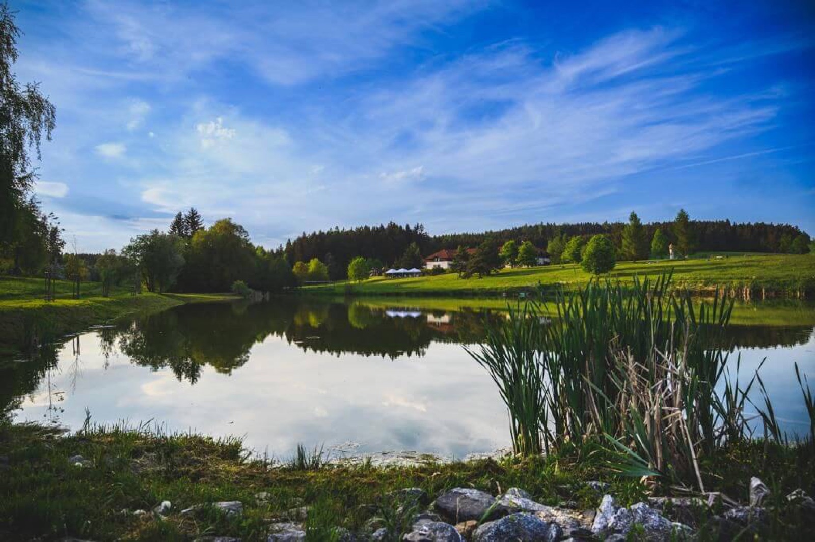 Borovinka – sportovní a rekreační areál