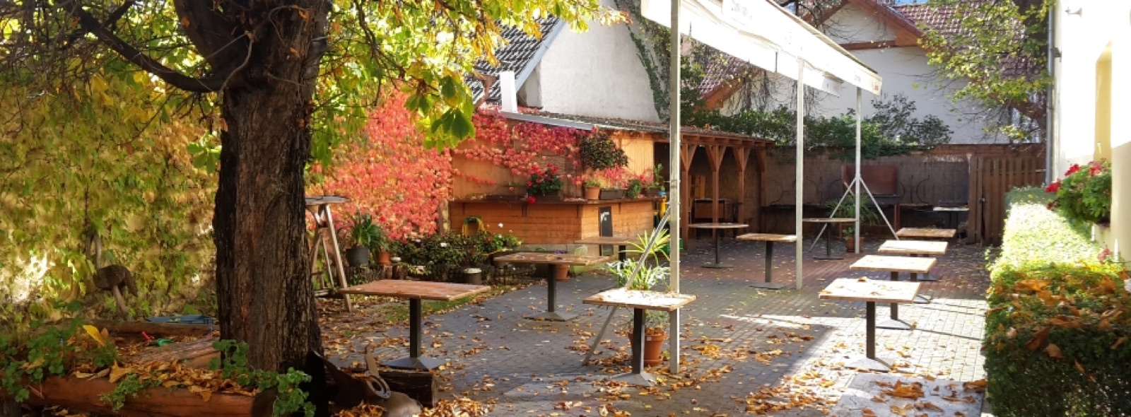 Restaurace U Přístavu foto 1