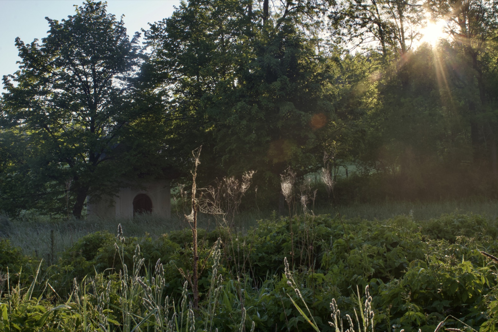 Penzion Baurů Dvůr foto 4
