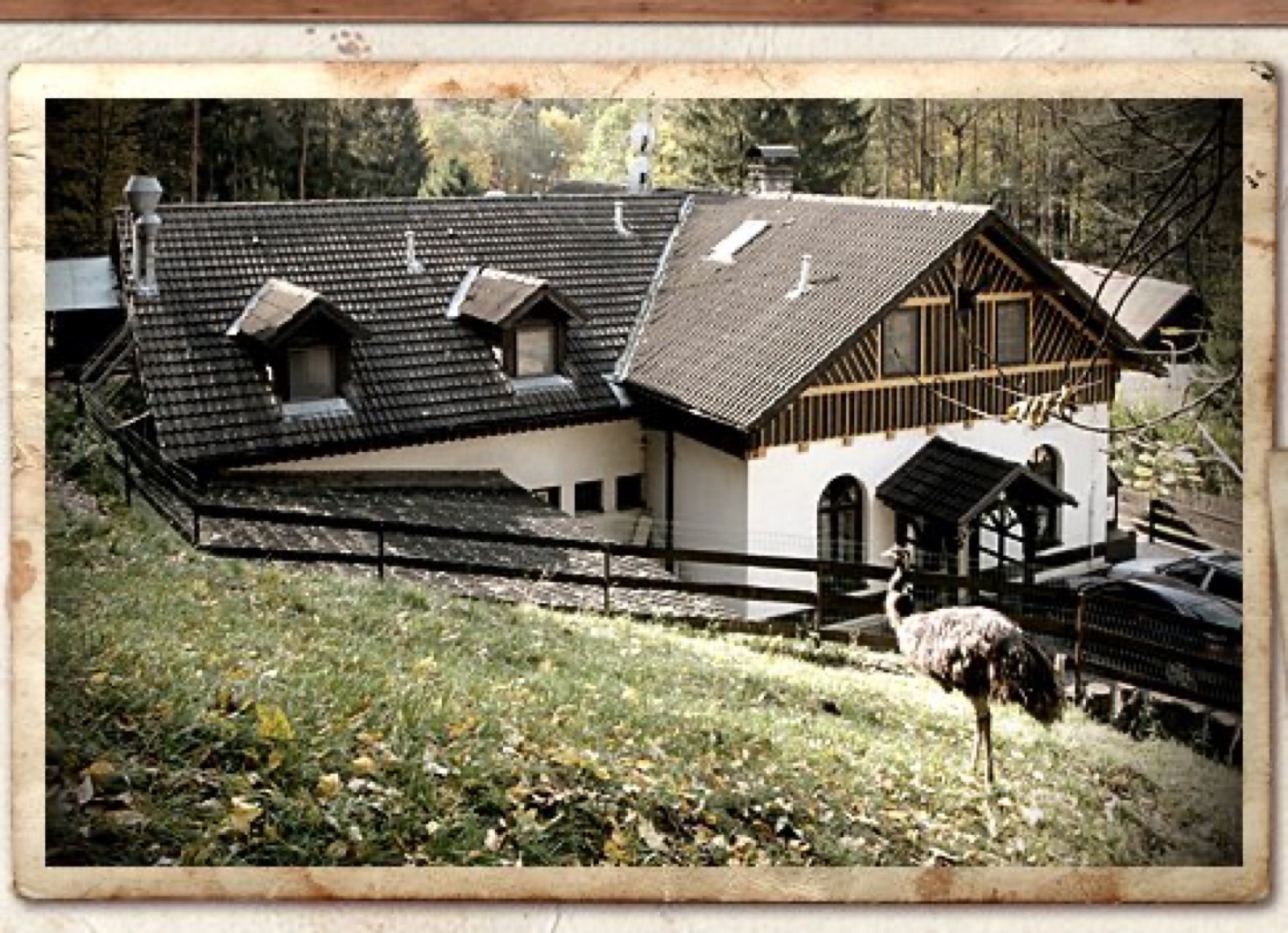 Ranč u jelena foto 2
