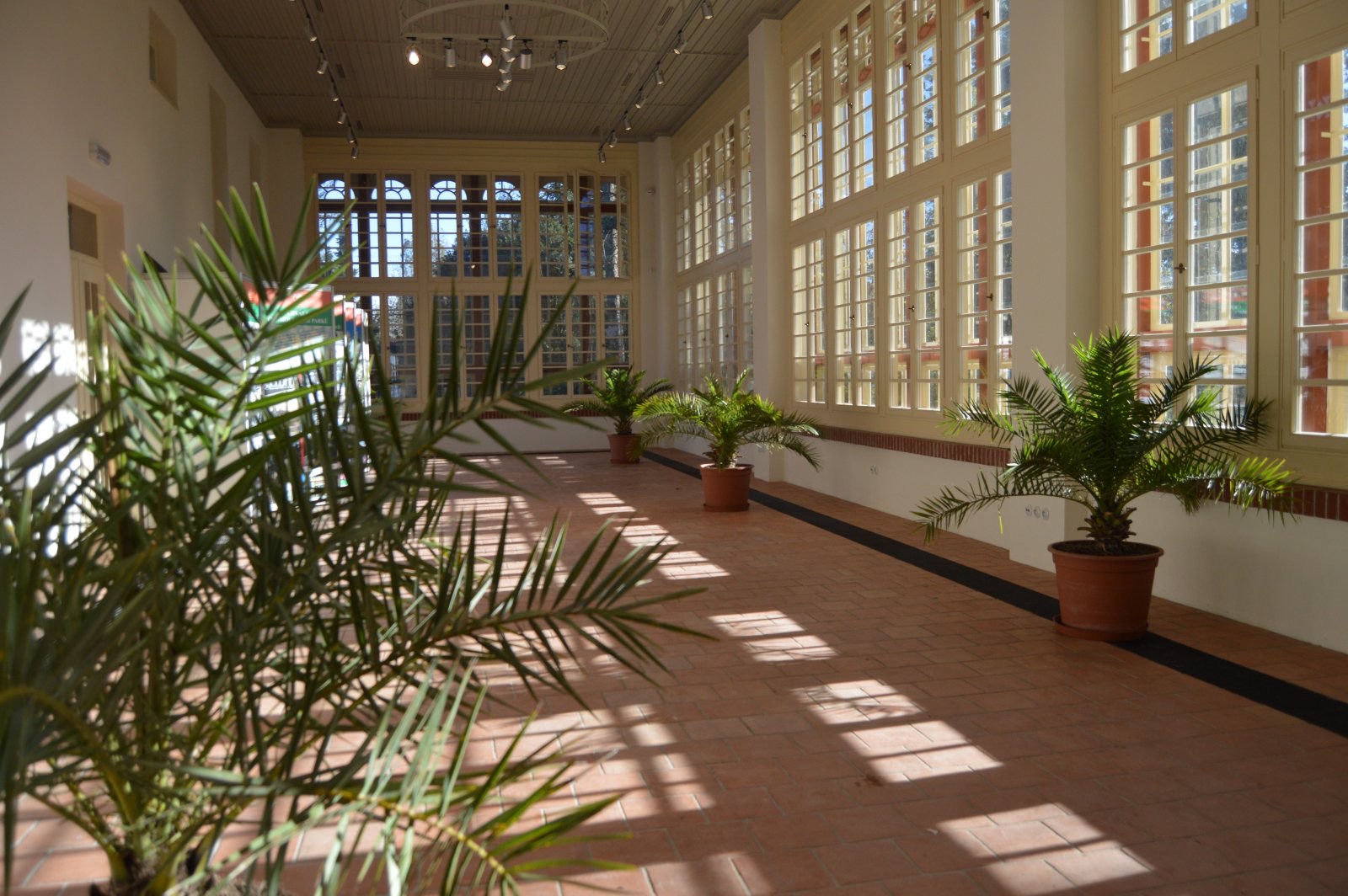 Výstaviště Flora Olomouc foto 4