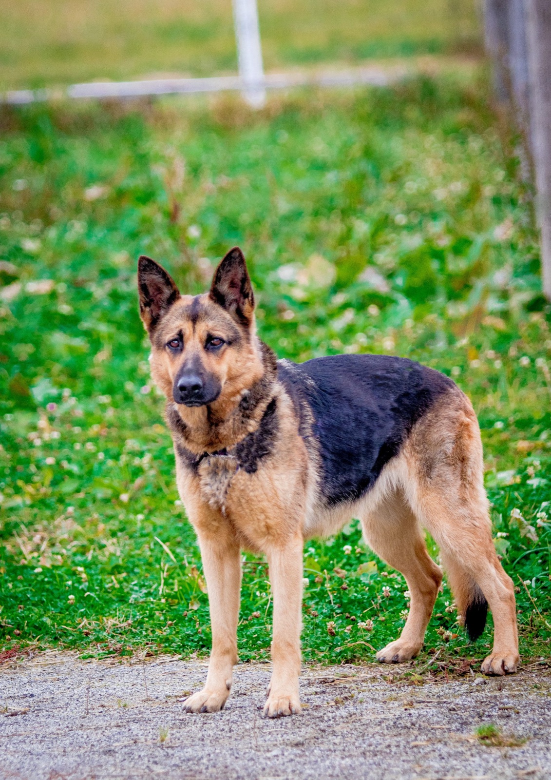 Ranč Telč foto 3