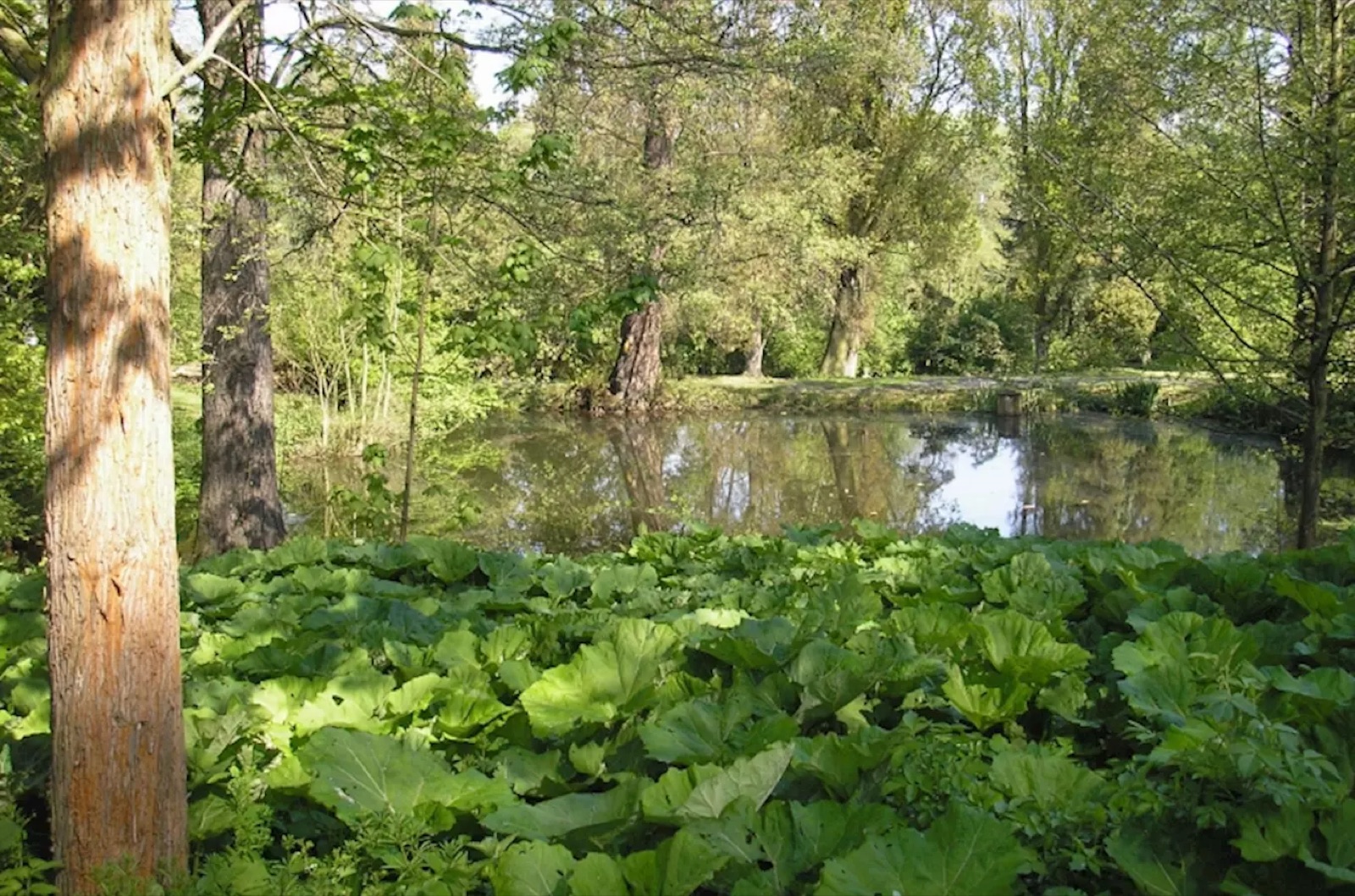 Luftova zahrada foto 3
