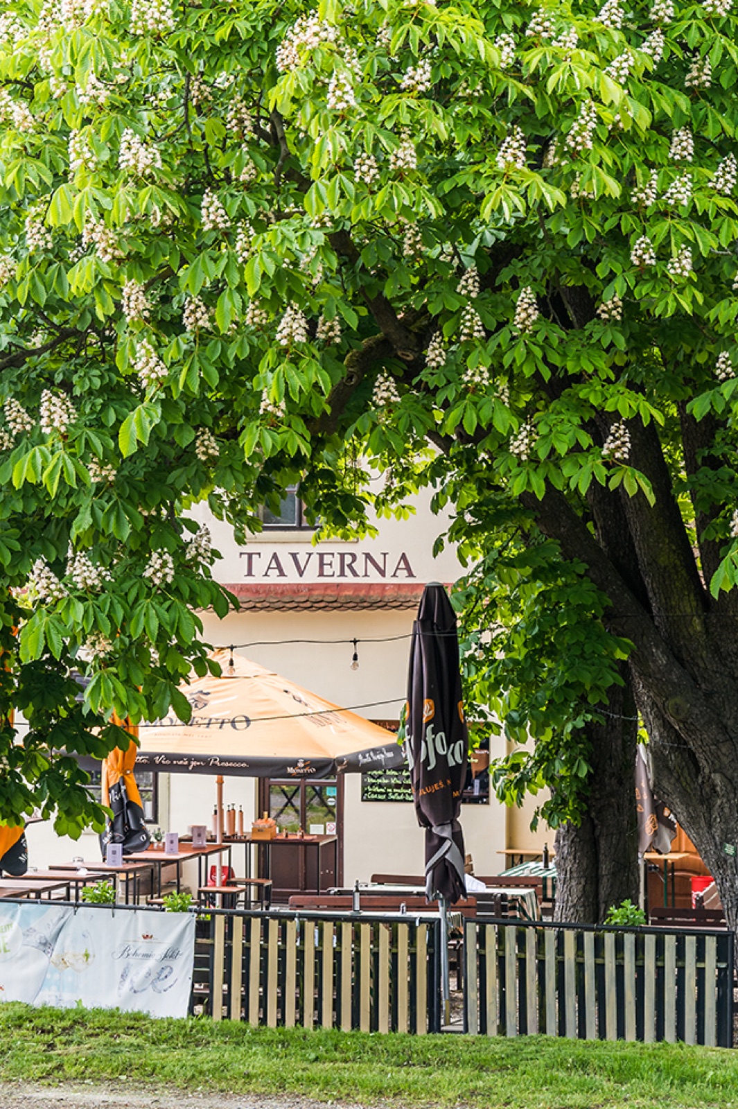 Restaurace TAVERNA u Benediktinů Rajhrad foto 7