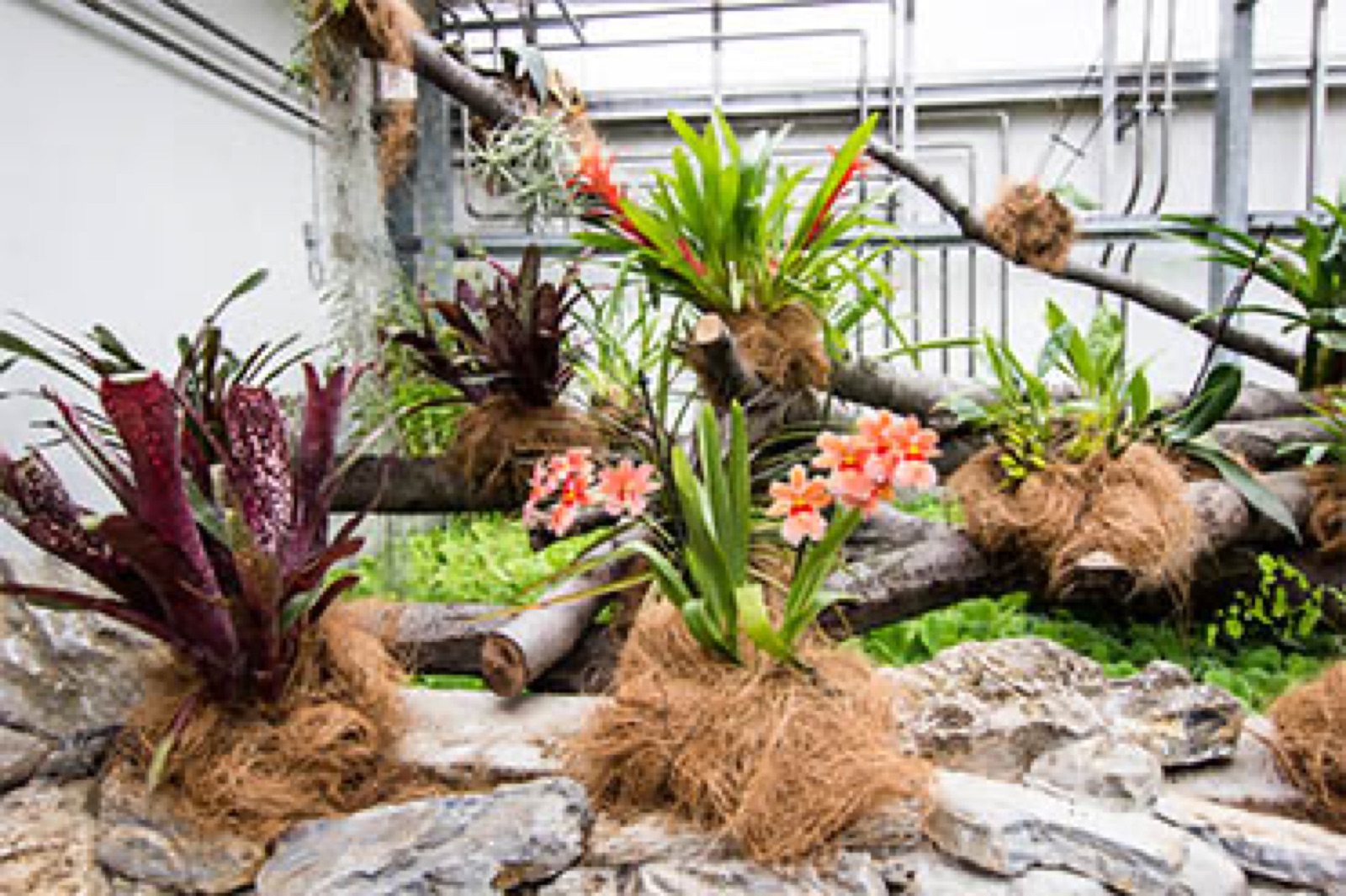 Zoologická zahrada a botanický park Ostrava foto 2