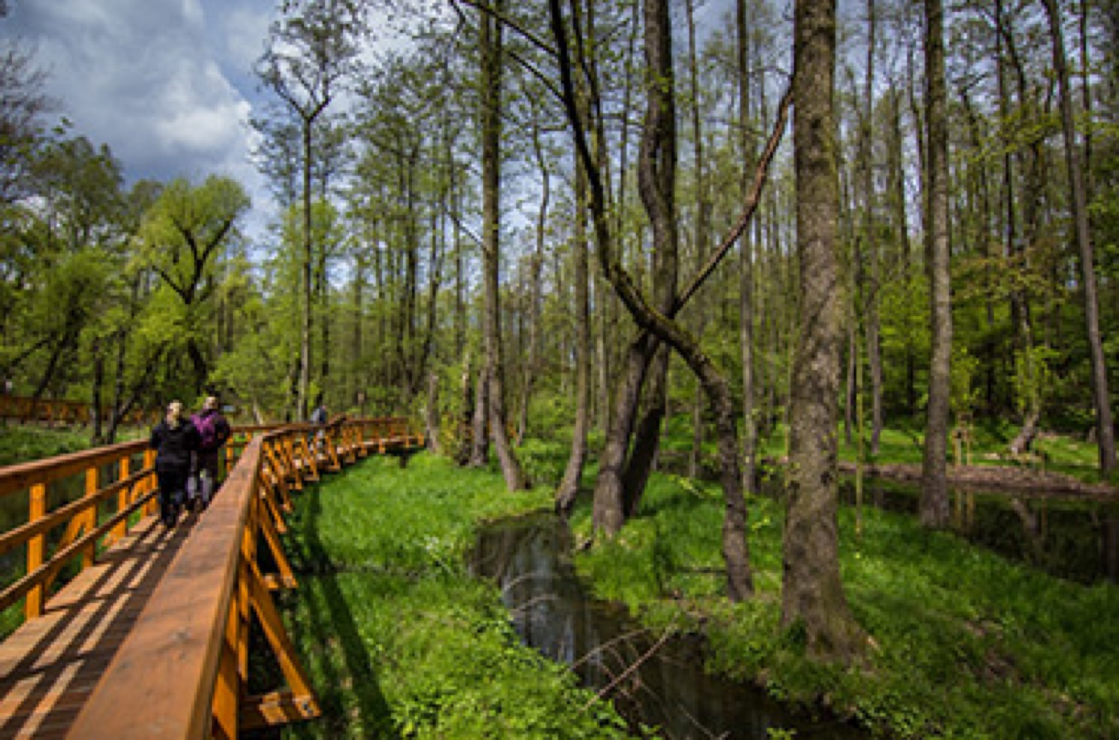 Zoologická zahrada a botanický park Ostrava foto 3