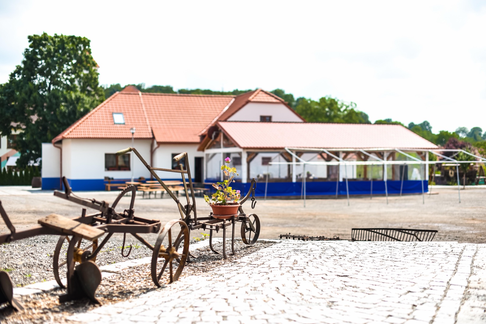 Čechův dvůr v Louce foto 3
