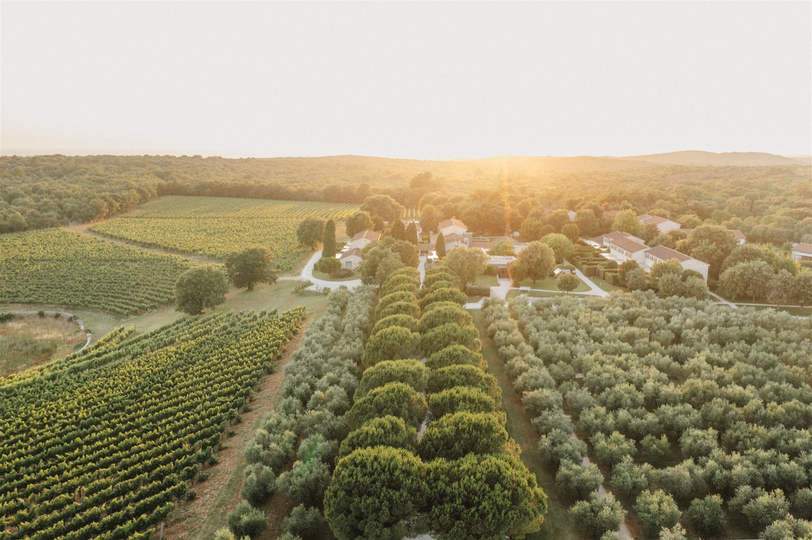 Meneghetti Wine Hotel & Winery