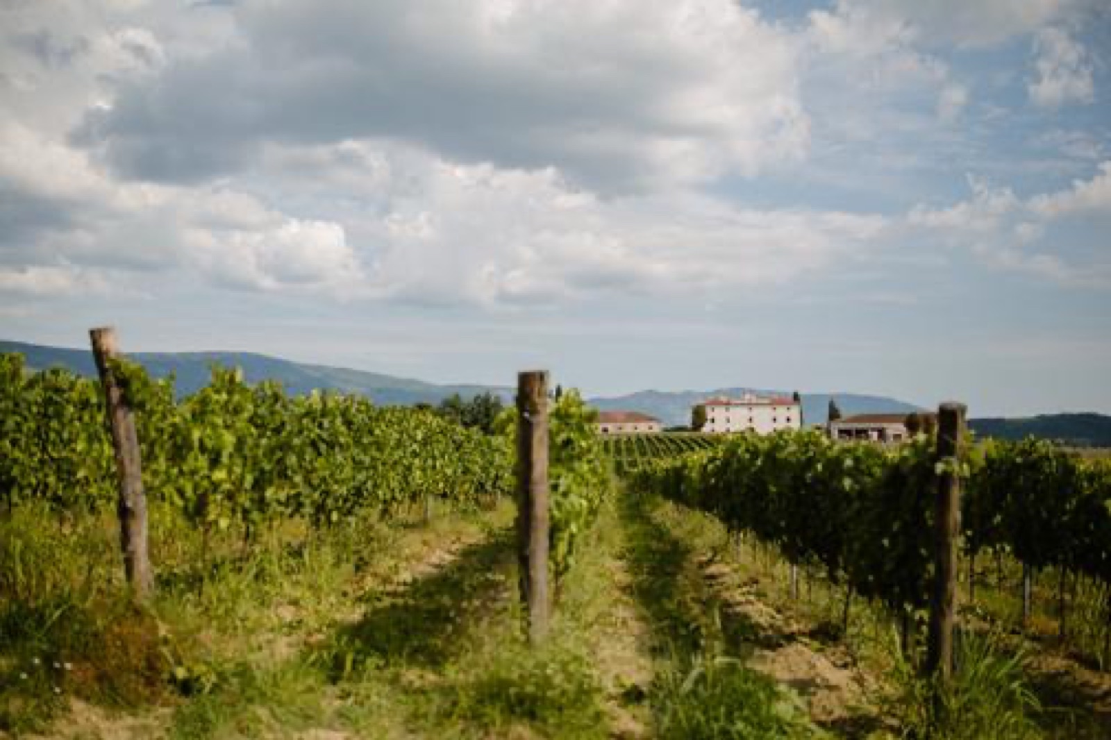 Castle Belaj