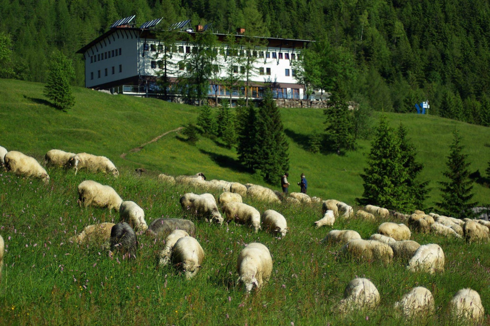 Hotel Górski PTTK Kalatówki