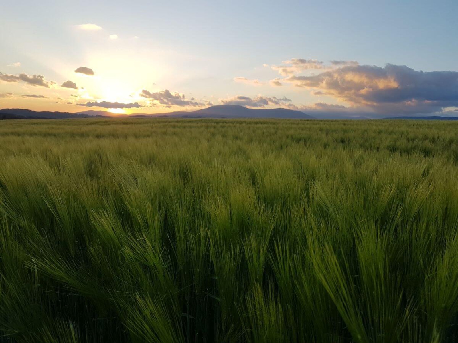 Ranč na Valech foto 3