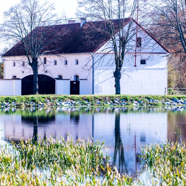 Statek Pňovany foto 1