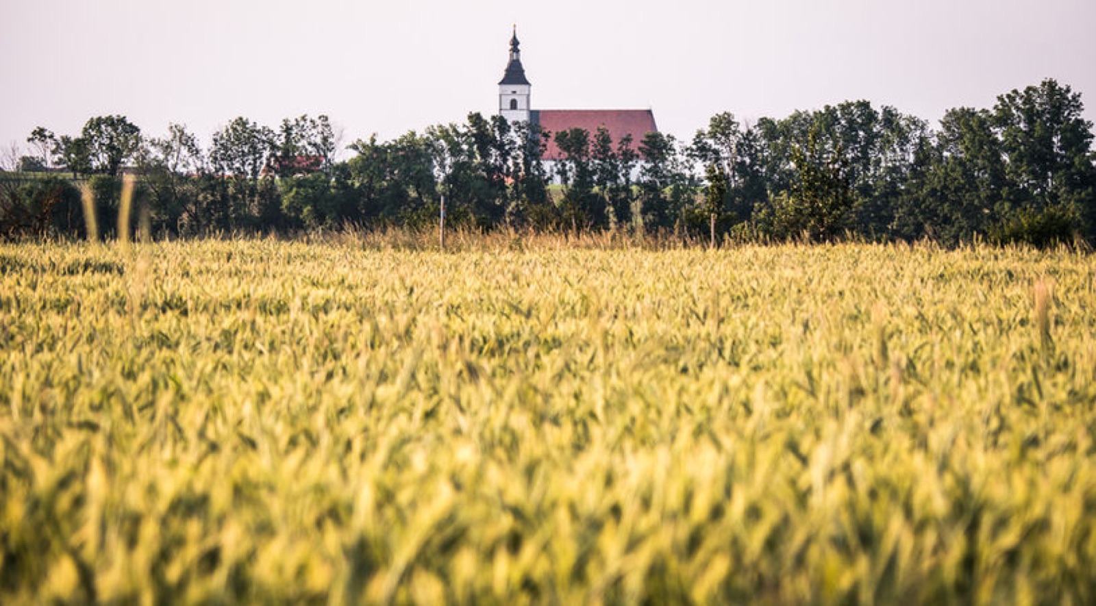 Dobro-družný statek foto 3