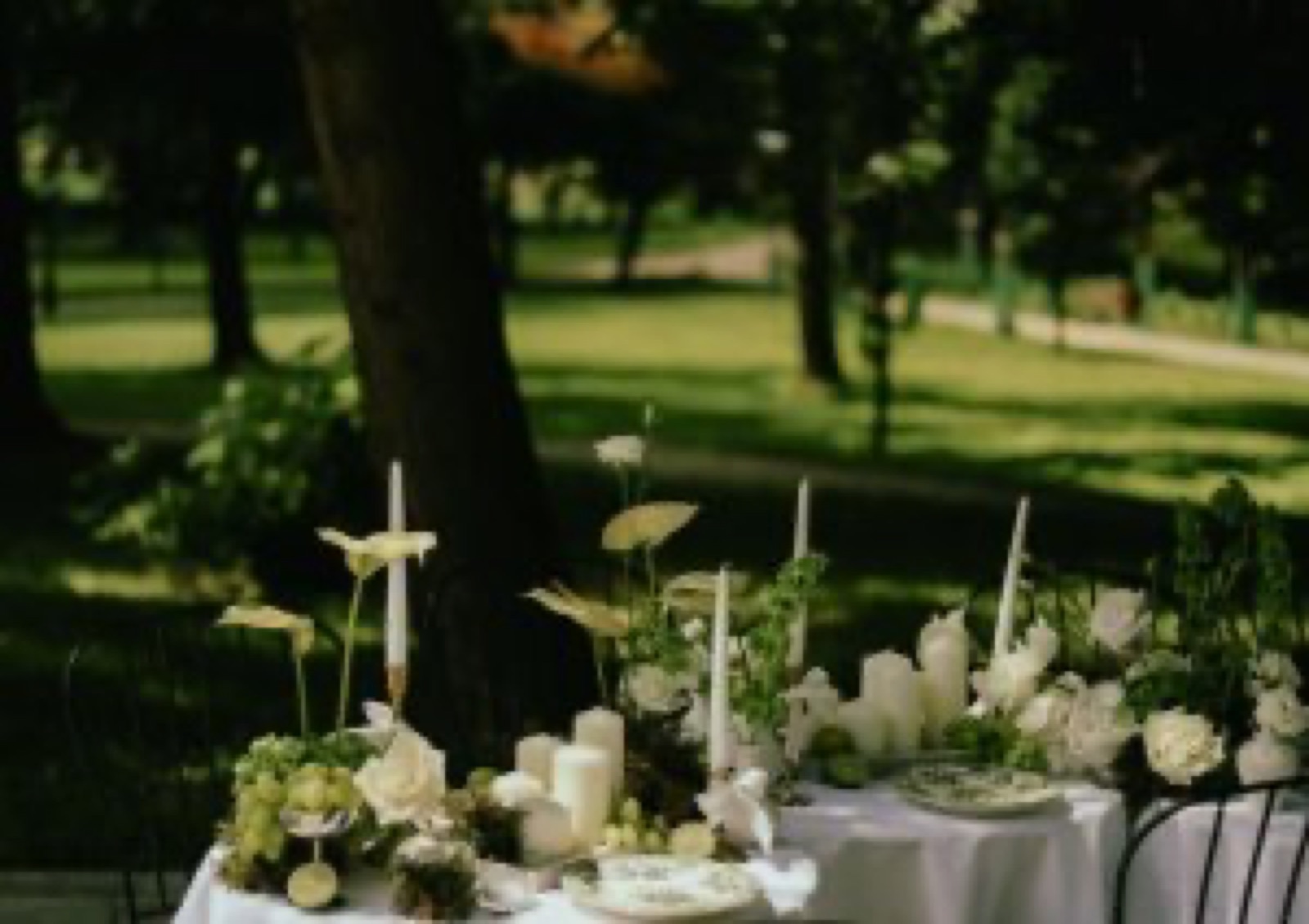 Hotel Zamek Chałupki wedding venue - photo 8