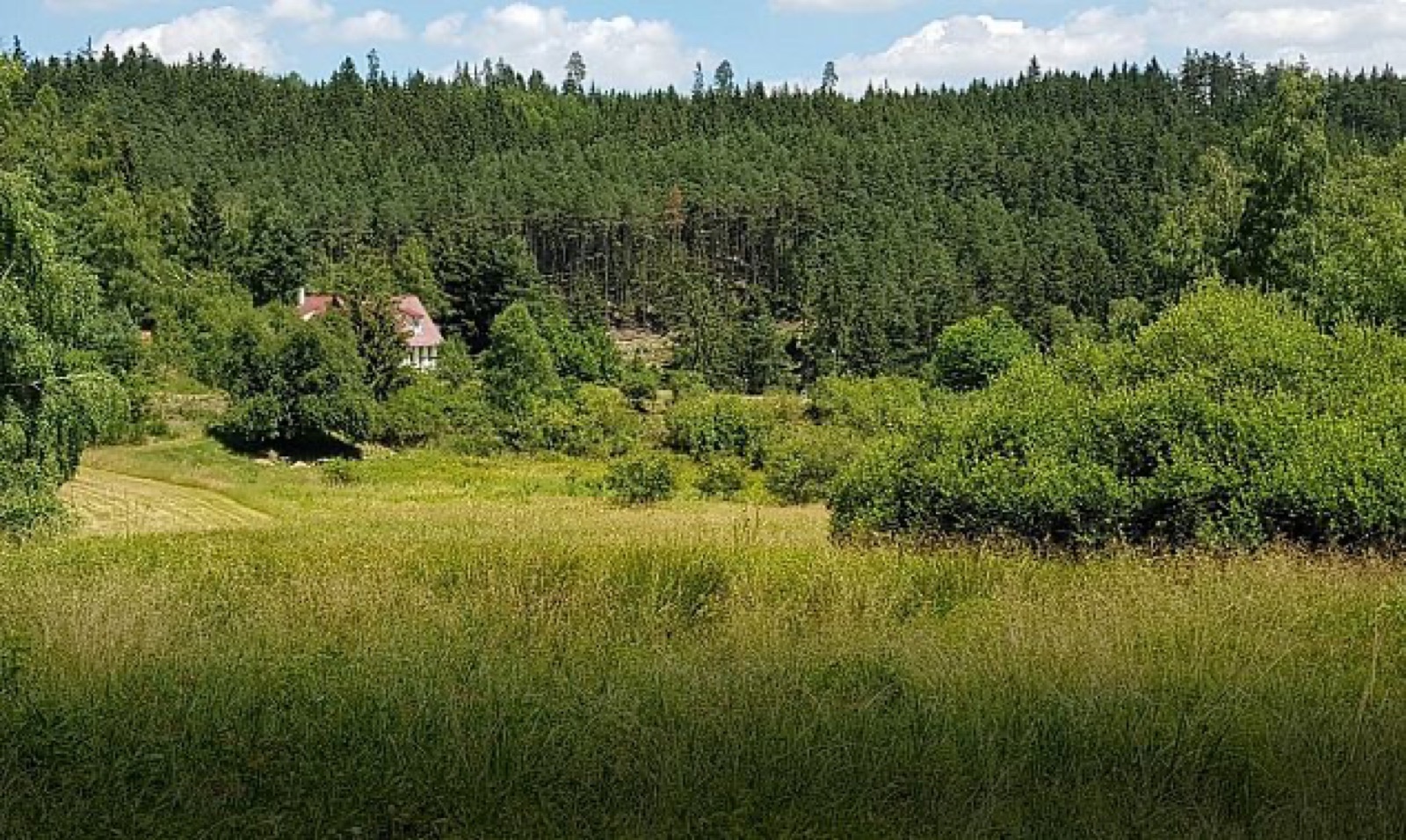 Landštejn foto 2