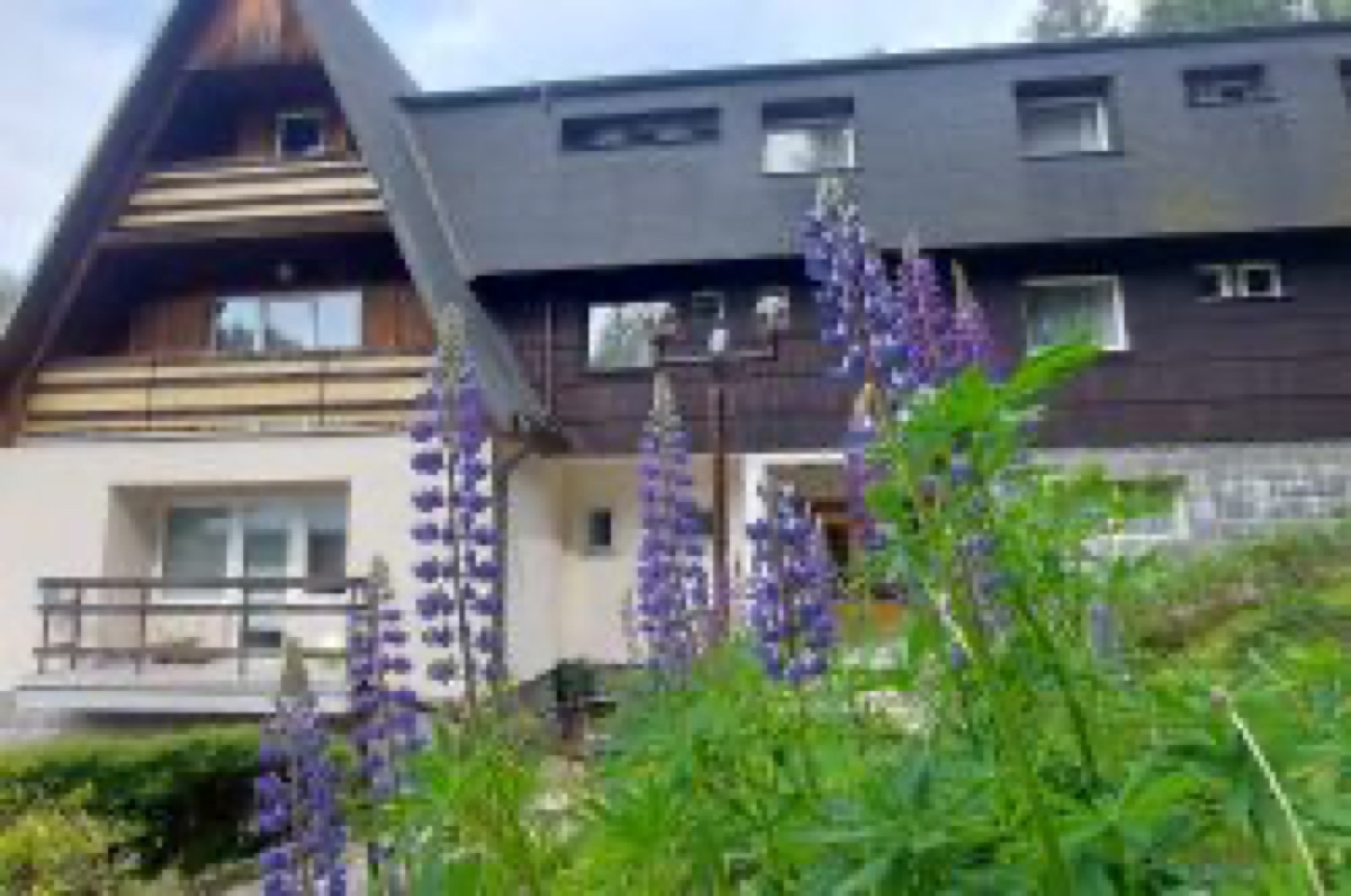 Penzion Svojanov foto 3