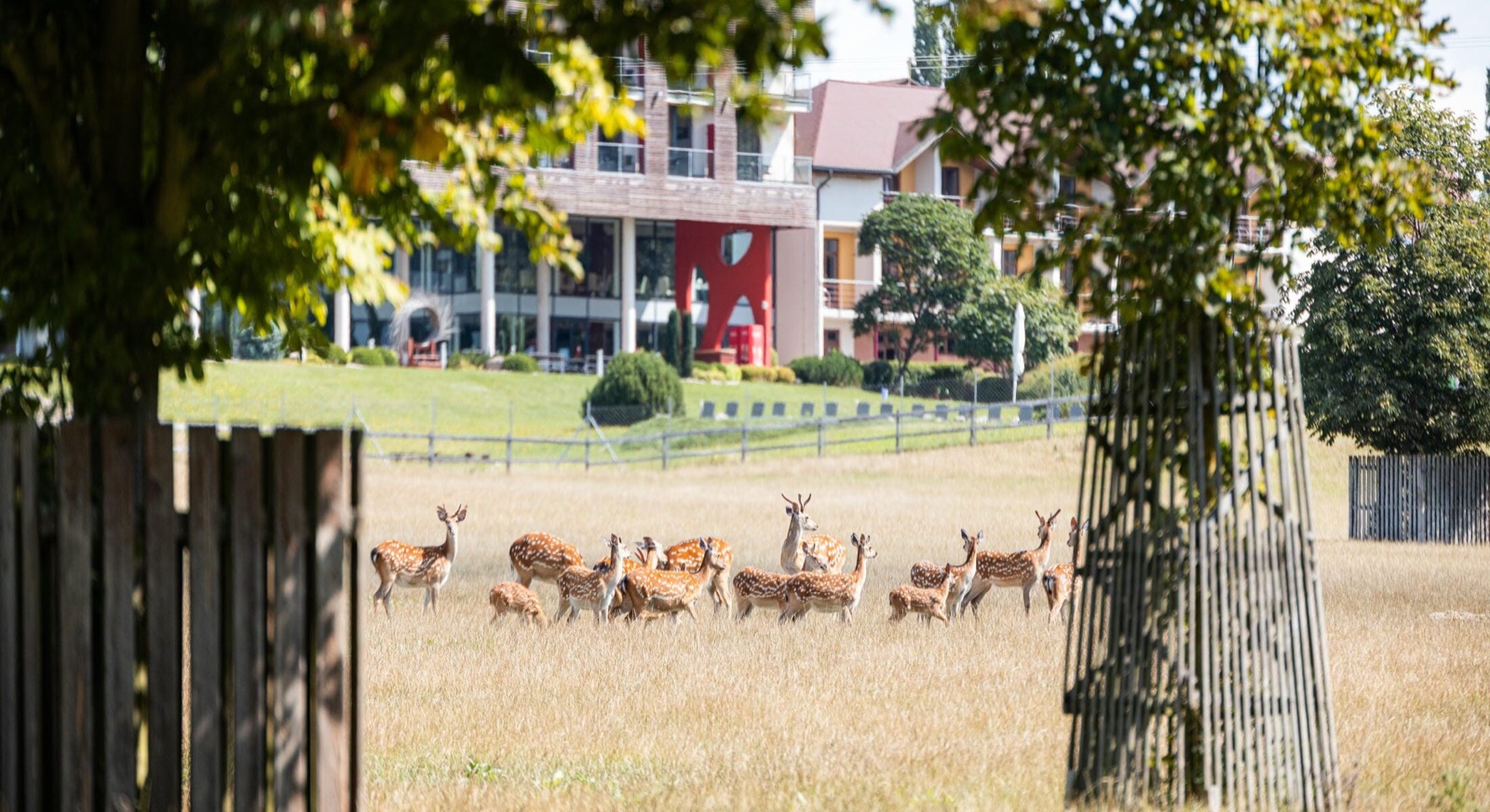 Hotel K-Triumf foto 3