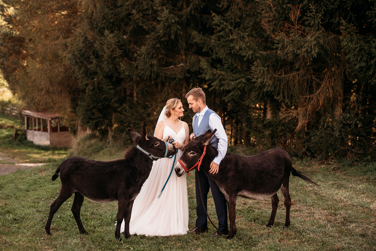 Hospodářský dvůr Bohuslavice foto 4