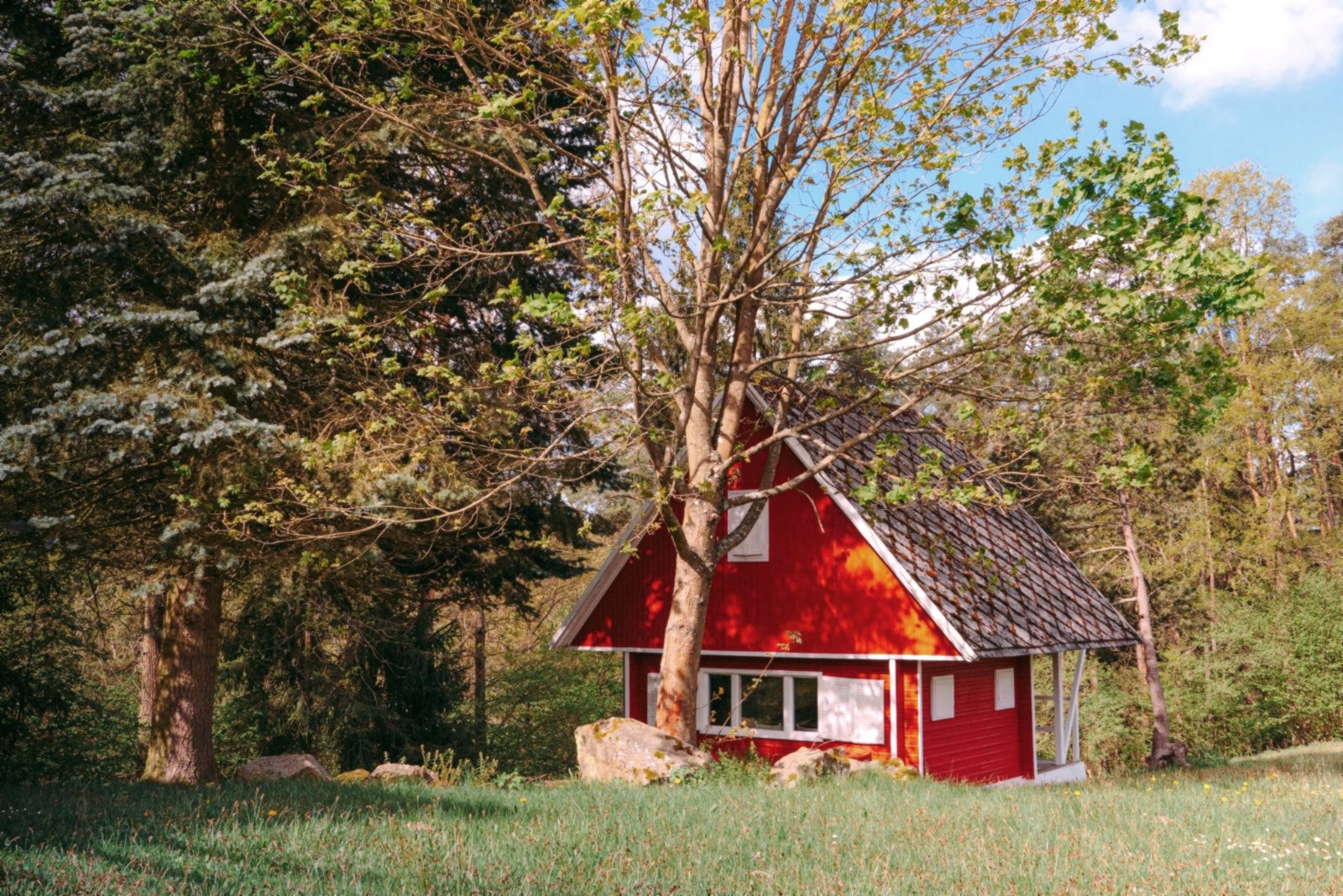 Malý Oslov Glamping foto 3