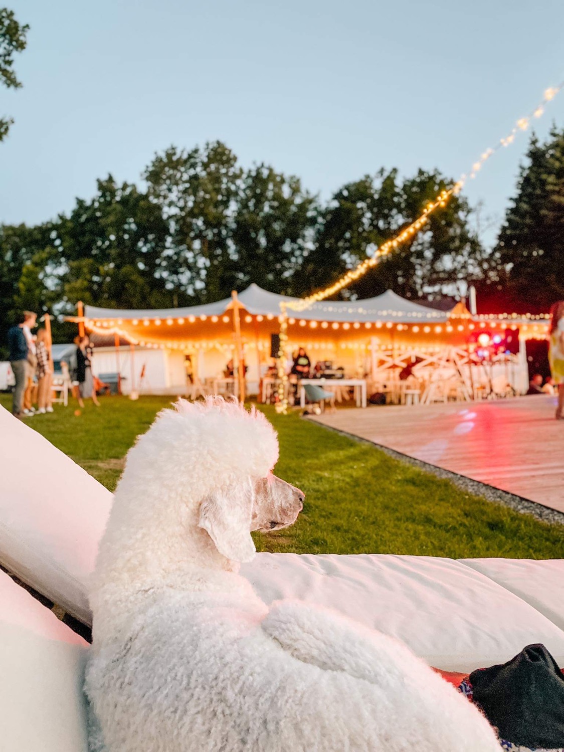 Malý Oslov Glamping foto 10